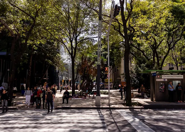 Master A Few Steps Reforma & Us Embassy Apartamento México DF